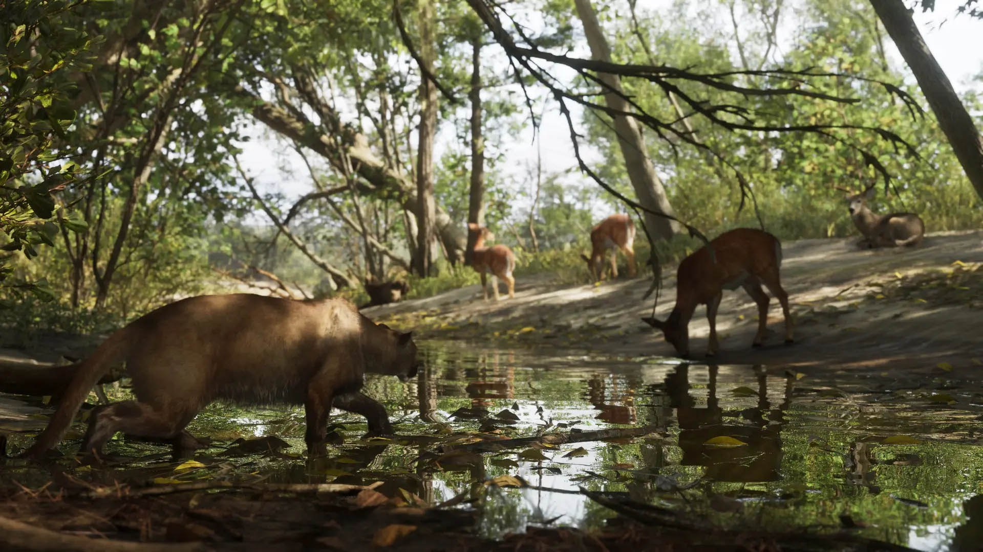 A serene forest scene shows a mountain lion cautiously stepping through a shallow stream while several deer graze and rest nearby, surrounded by dense trees and dappled sunlight—capturing the untamed natural beauty of Mount Kalaga National Park in GTA 6.
